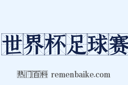 世界杯足球赛是什么意思的图片